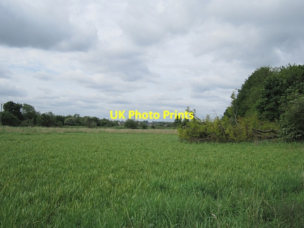 Photo 6"x4" Wetland, Springfield Kirkintilloch c2012