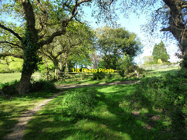Photo 6"x4" Path to Charlestown Harbour St Austell c2012