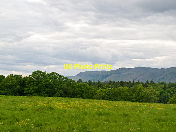Photo 6"x4" Farmland near Wester Muirhead Blairingone c2012