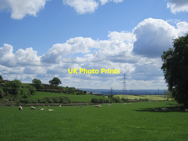 Photo 6"x4" Grass field, Crookedshields Dalton\/NS6658 c2012