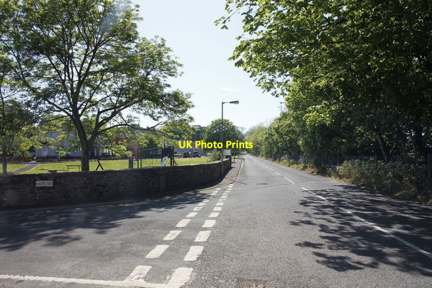 Photo 6"x4" Out along Mill Road Garlieston c2012