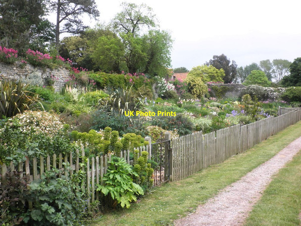 Photo 6"x4" Garden at Court House, East Quantoxhead East Quantoxhead c2012