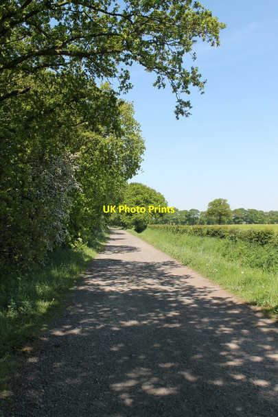 Photo 6"x4" Track along Holme Plantation Holme\/SE9206 c2012