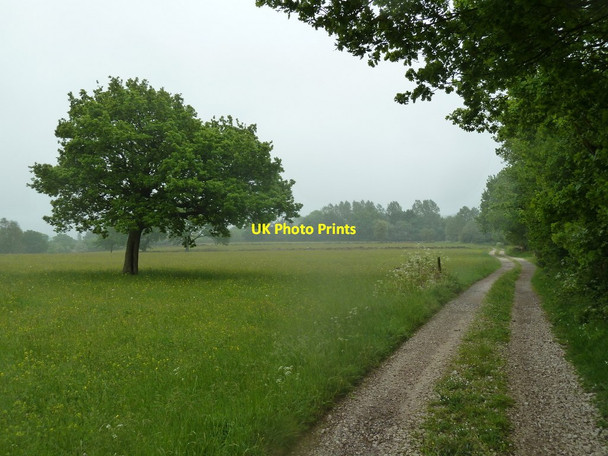 Photo 6"x4" Farm track towards Shooters Lea Farm Uppertown\/SK3264 c2012