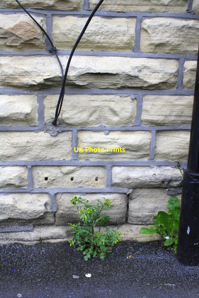 Photo 6"x4" Benchmark on #41 Highfield Lane Keighley c2012