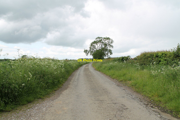 Photo 6"x4" Torgate Lane Bassingham c2012