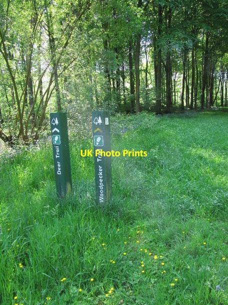 Photo 6"x4" Markers for the trail Kirkinner c2012