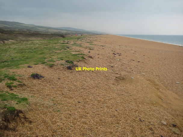 Photo 6"x4" Cogden Beach Swyre\/SY5288 c2012