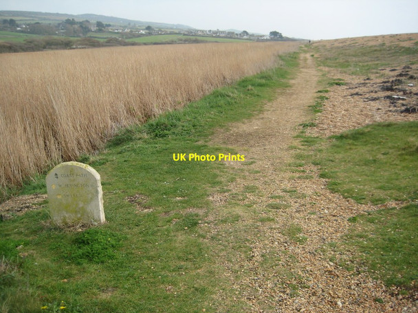 Photo 6"x4" Coast path near West Bexington West Bexington c2012