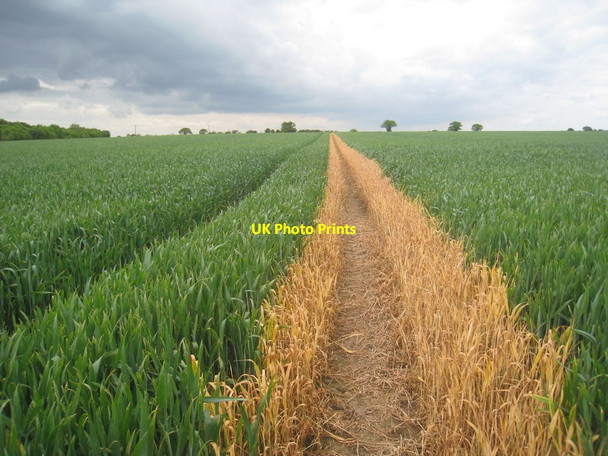 Photo 6"x4" Footpath to Swannington Haveringland c2012