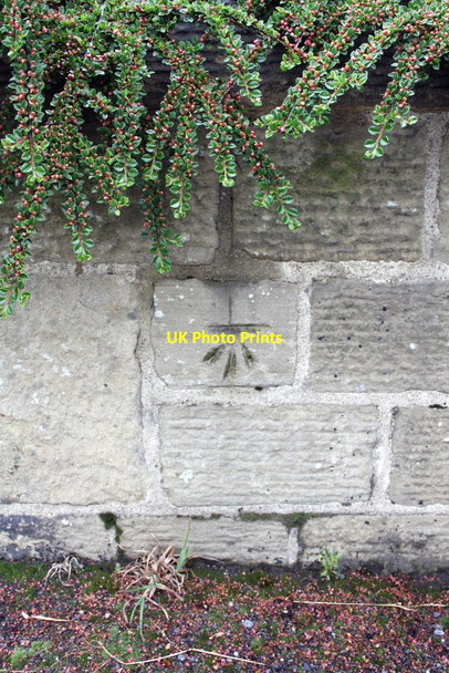 Photo 6"x4" Benchmark on wall at entrance to SHROGGS Club Baildon c2012