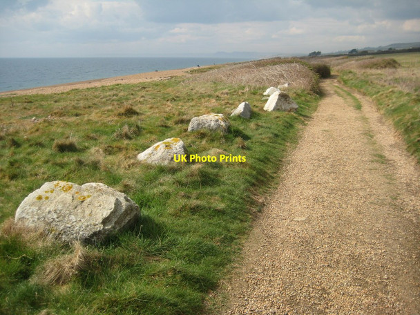 Photo 6"x4" South West Coast Path West Bexington c2012