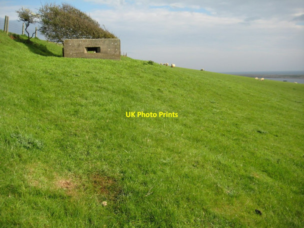 Photo 6"x4" Pill box on Chapel Hill Abbotsbury\/SY5785 c2012