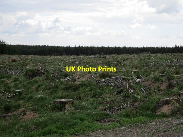 Photo 6"x4" Felled block, Whitelee Laigh Carnduff c2012