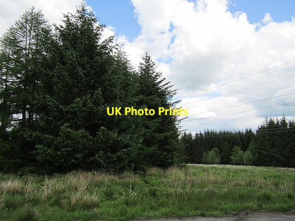 Photo 6"x4" Power line, Ardochrig Laigh Carnduff c2012