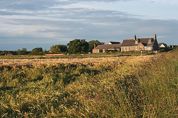 Photo 6"x4" Nether Dallachy Bogmoor c2008