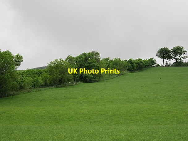 Photo 6"x4" A strip wood, Hardington Lamington\/NS9731 c2012