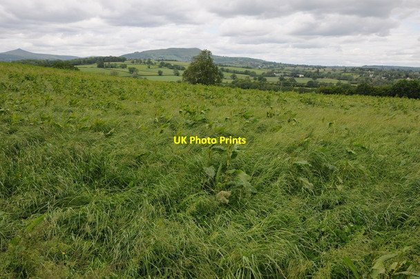 Photo 6"x4" Farmland near Coed Morgan Coed Morgan c2012