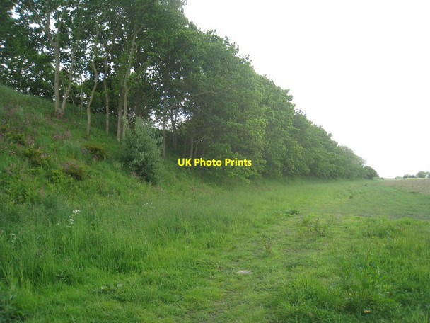 Photo 6"x4" Railway embankment near Hunworth Hunworth c2012