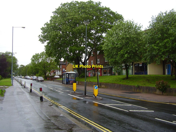 Photo 6"x4" Flaming June! Allesley c2012