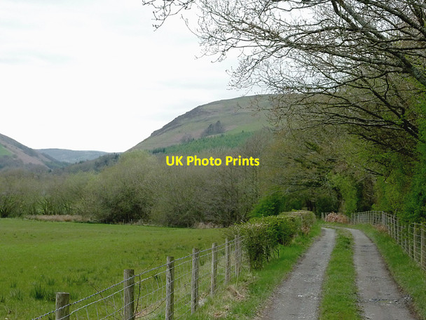 Photo 6"x4" Farm road to Dyfnant near Newbridge, Powys Disserth c2012