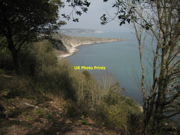 Photo 6"x4" Durlston Bay Swanage c2012