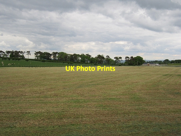 Photo 6"x4" Harvested silage Chapelton\/NS6848 c2012
