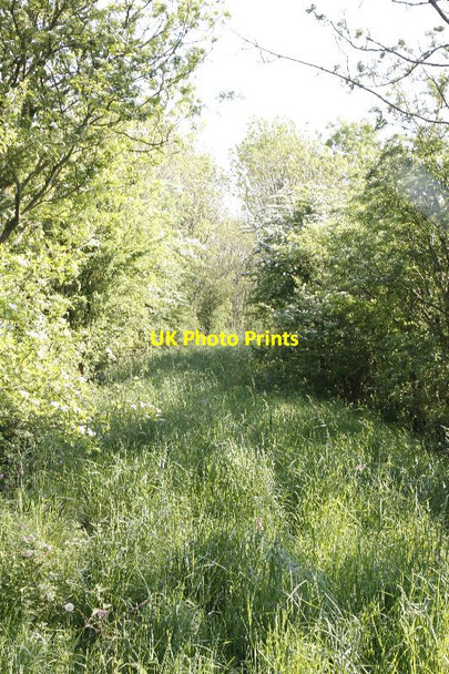 Photo 6"x4" Railbed looking south Garlieston c2012