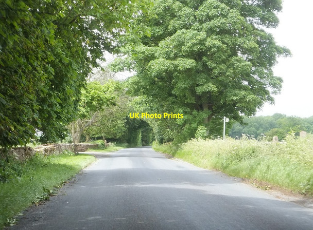 Photo 6"x4" Bowldown Road near Down Farm Westonbirt c2012