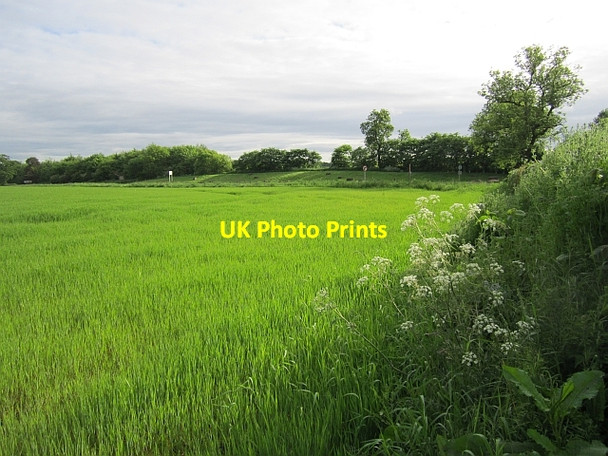 Photo 6"x4" Field by Cliftonhall Road Ratho c2012