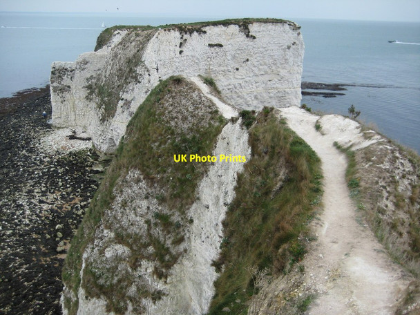 Photo 6"x4" The Foreland or Handfast Point Studland c2012
