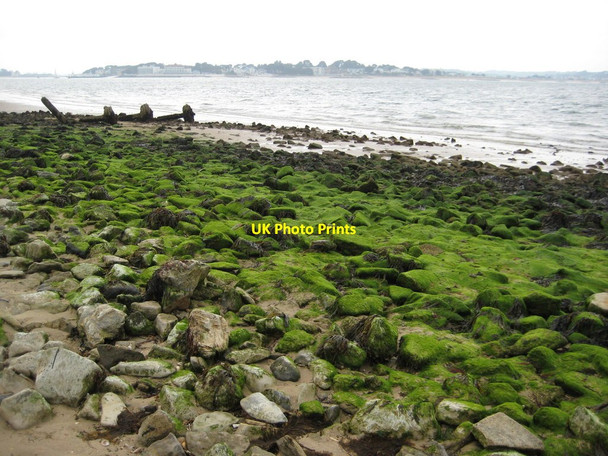 Photo 6"x4" Shell Bay Sandbanks c2012