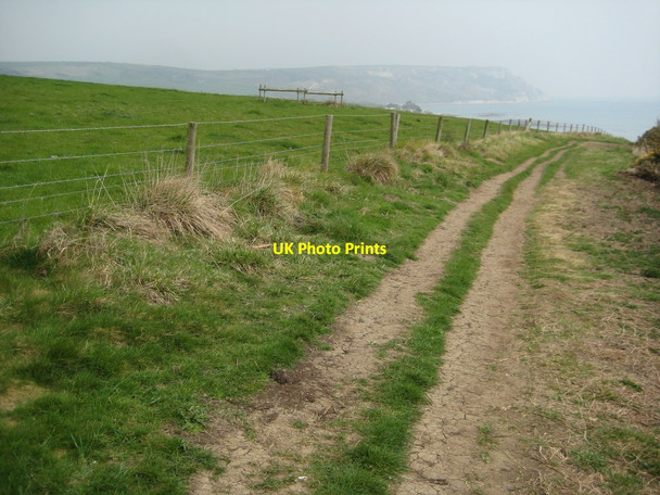 Photo 6"x4" The coast path near Bran Point Osmington Mills c2012