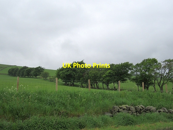 Photo 6"x4" Grown out hedge on Harten Hill Roberton\/NS9428 c2012