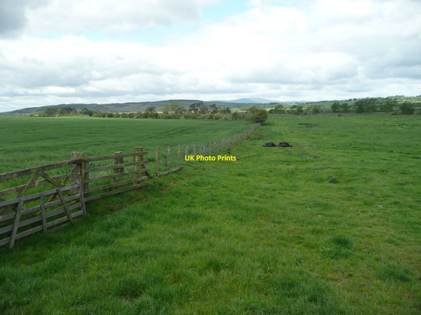 Photo 6"x4" Fence between pasture and arable land South Charlton c2012