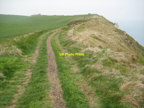 Photo 6"x4" Coast path above Ringstead Bay Osmington Mills c2012