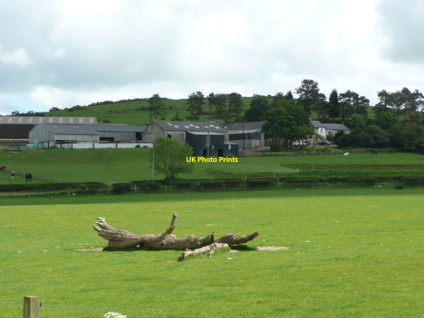Photo 6"x4" View across pasture South Charlton c2012