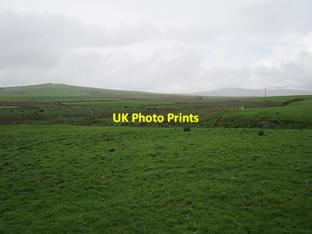 Photo 6"x4" Black Burn Crawfordjohn c2012