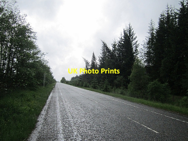 Photo 6"x4" B7078, Mainshill Wood Uddington c2012