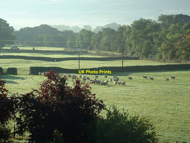 Photo 6"x4" Early morning at Pry house Appersett c2003