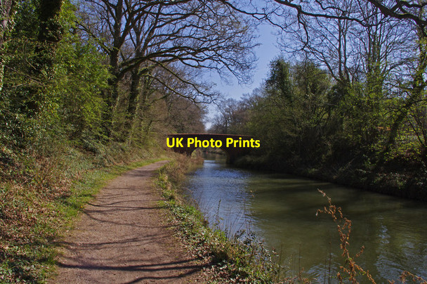 Photo 6"x4" Odiham - Basingstoke Canal Broad Oak\/SU7551 c2012