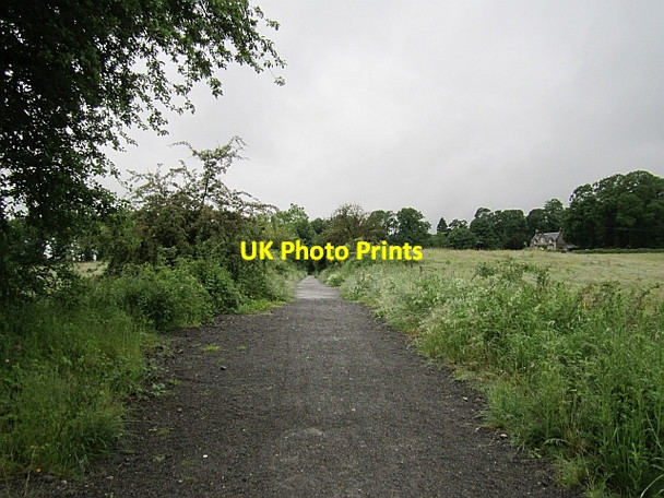 Photo 6"x4" Devon Valley Railway Dollar c2012