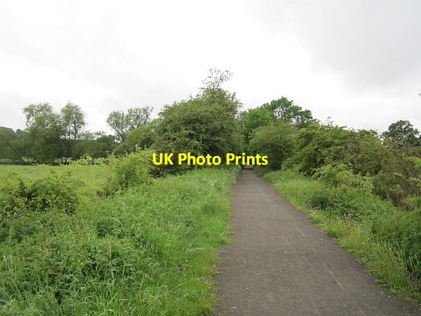 Photo 6"x4" Devon Valley Railway Tillicoultry c2012