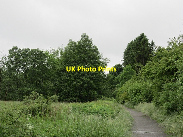 Photo 6"x4" Devon Valley Railway Tillicoultry c2012 P1