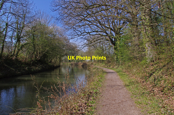 Photo 6"x4" Odiham - Basingstoke Canal Broad Oak\/SU7551 c2012