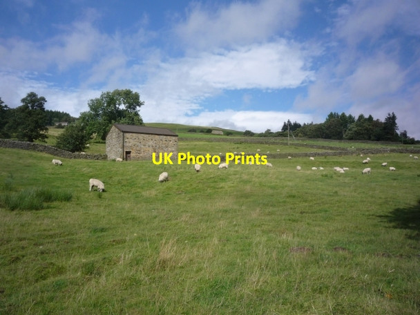 Photo 6"x4" Barn off the water board road Middlesmoor\/SE0974 c2009