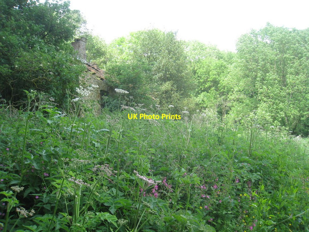 Photo 6"x4" Abandoned cottage Normanby le Wold c2012