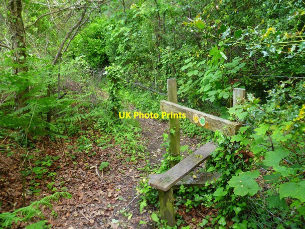 Photo 6"x4" The Solent Way (58) Lymington c2012