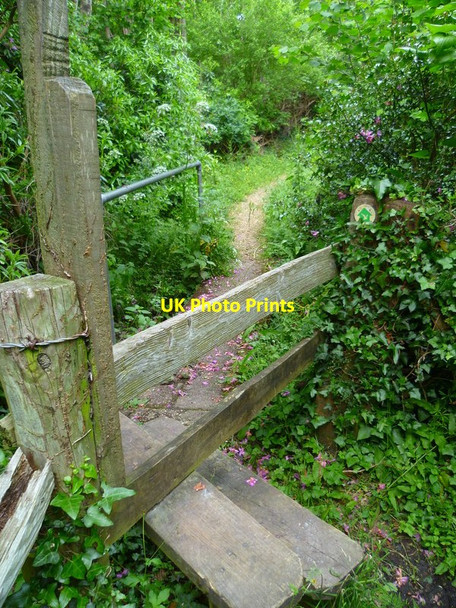 Photo 6"x4" The Solent Way (59) Lymington c2012