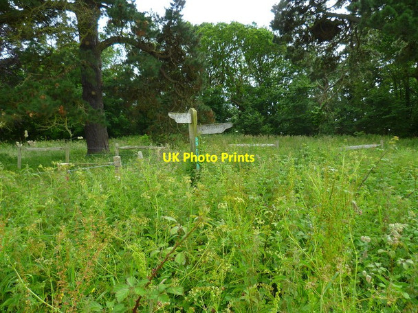 Photo 6"x4" The Solent Way (68) Lymington c2012